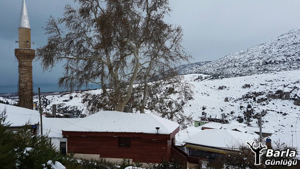 بارلا — أول مدرسة للنور
