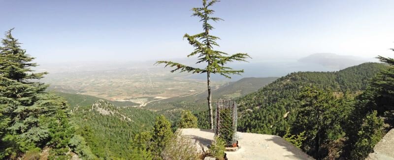 جبل الصنوبر (چام داغي)